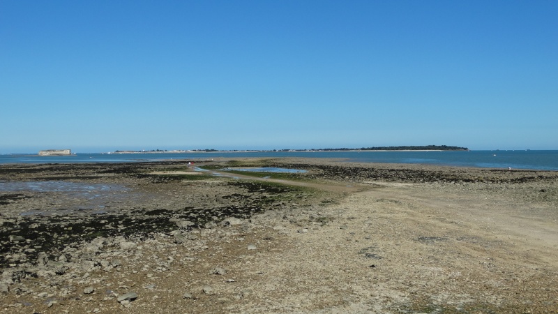 FOURAS en Charente Maritime Dsc02318