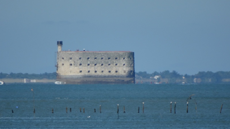 FOURAS en Charente Maritime Dsc02321