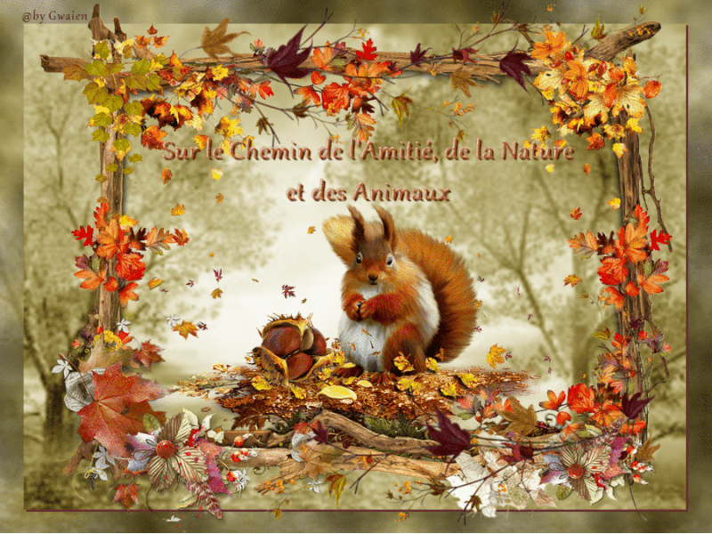 Sur le chemin de l'amitié ,de la nature et des animaux