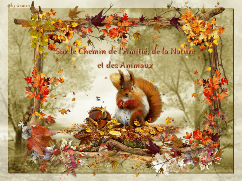 Sur le chemin de l'amitié ,de la nature et des animaux