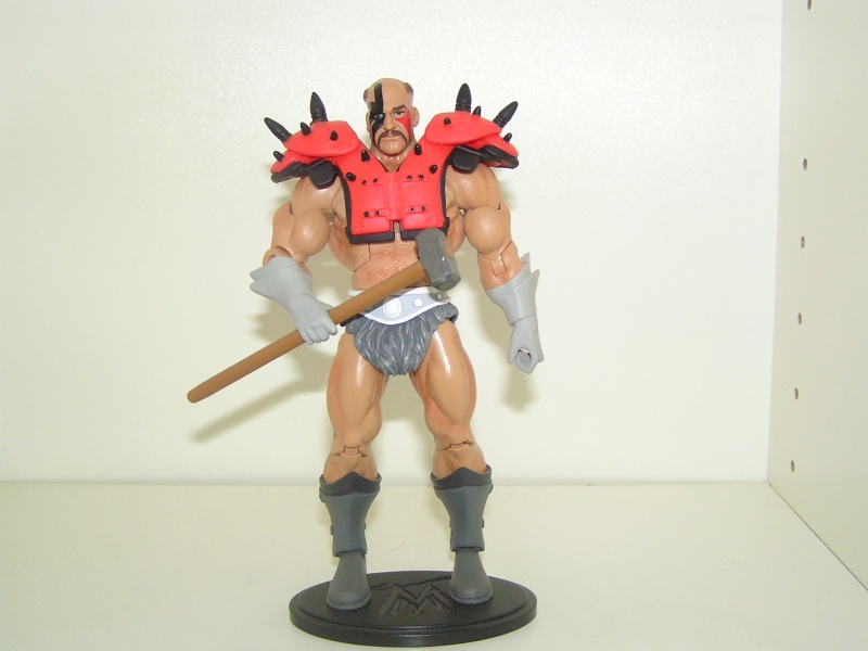 Mes mix and match Motuc WWE P1010036