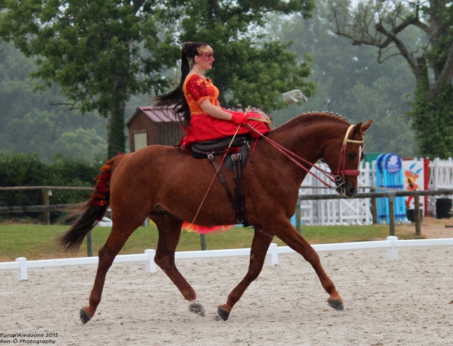 Europ'Amazone 2015 au Haras du Pin !  2_amaz14