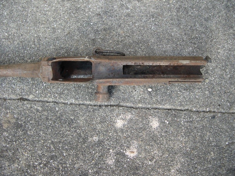identification P38_310