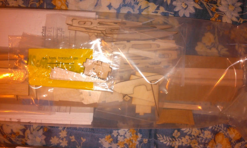 The Bipe has arrived. Thanks Roger.... Scout_17