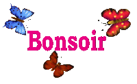 "Bonjour / Bonsoir" !!! - Page 6 Bonsoi13