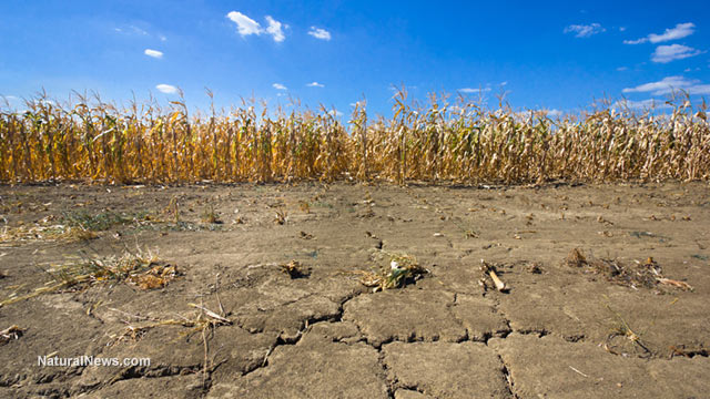 FORCED WATER CUT-OFFS BEGIN IN CALIFORNIA AS DROUGHT-STRICKEN STATE'S LEADERS CONSIDER DEPOPULATION PROGRAM Drough10