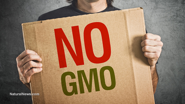 STOP DARK ACT BARRING STATES FROM PASSING THEIR OWN GMO LABELING LAWS: SIGN THE PETITION! No-gmo10
