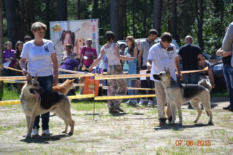 7.06.2015 "САС-Счастливый день" САС--Соседи по планете " орг .Хон-До""  Dsc_0119