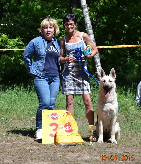 веолар larina20081976 mail ru - ВОСТОЧНО-ЕВРОПЕЙСКАЯ ОВЧАРКА ВЕОЛАР ДАРИНА - Страница 3 Dsc_0431