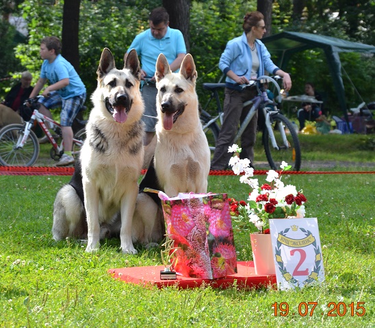 дарина - ВОСТОЧНО-ЕВРОПЕЙСКАЯ ОВЧАРКА ВЕОЛАР ДАРИНА - Страница 3 Dsc_0818