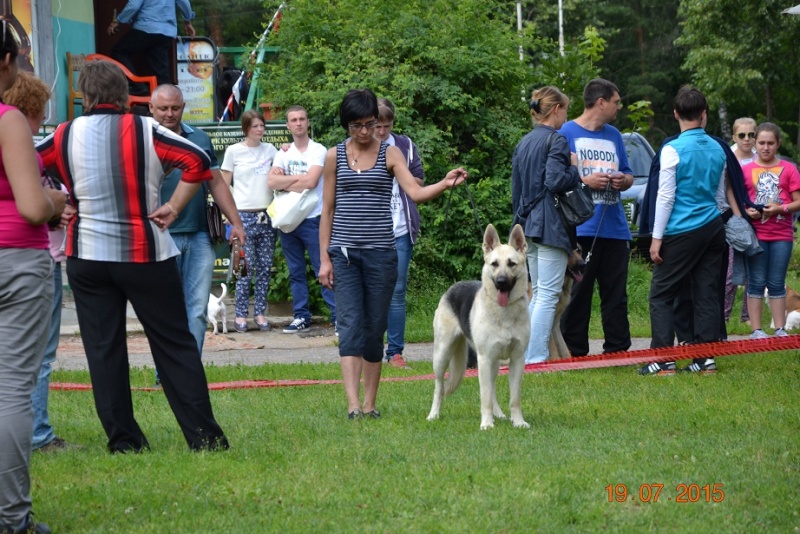 дарина - ВЕОЛАР ДАРИНА Dsc_0820