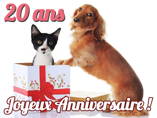 Ans Etoile 44