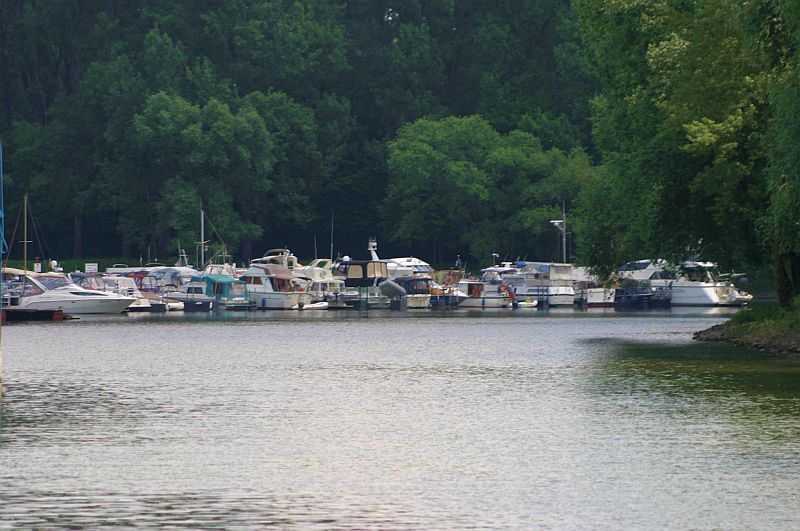 Kleiner Rheinbummel am 11.06.15 in Andernach und Mondorf 2010