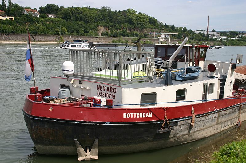 Kleiner Rheinbummel am 17.06.15 in Andernach und Koblenz 32a10