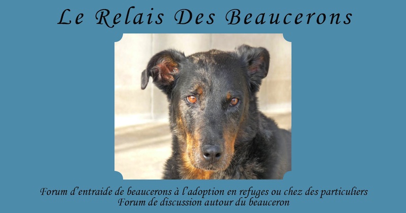 Le Relais Des Beaucerons