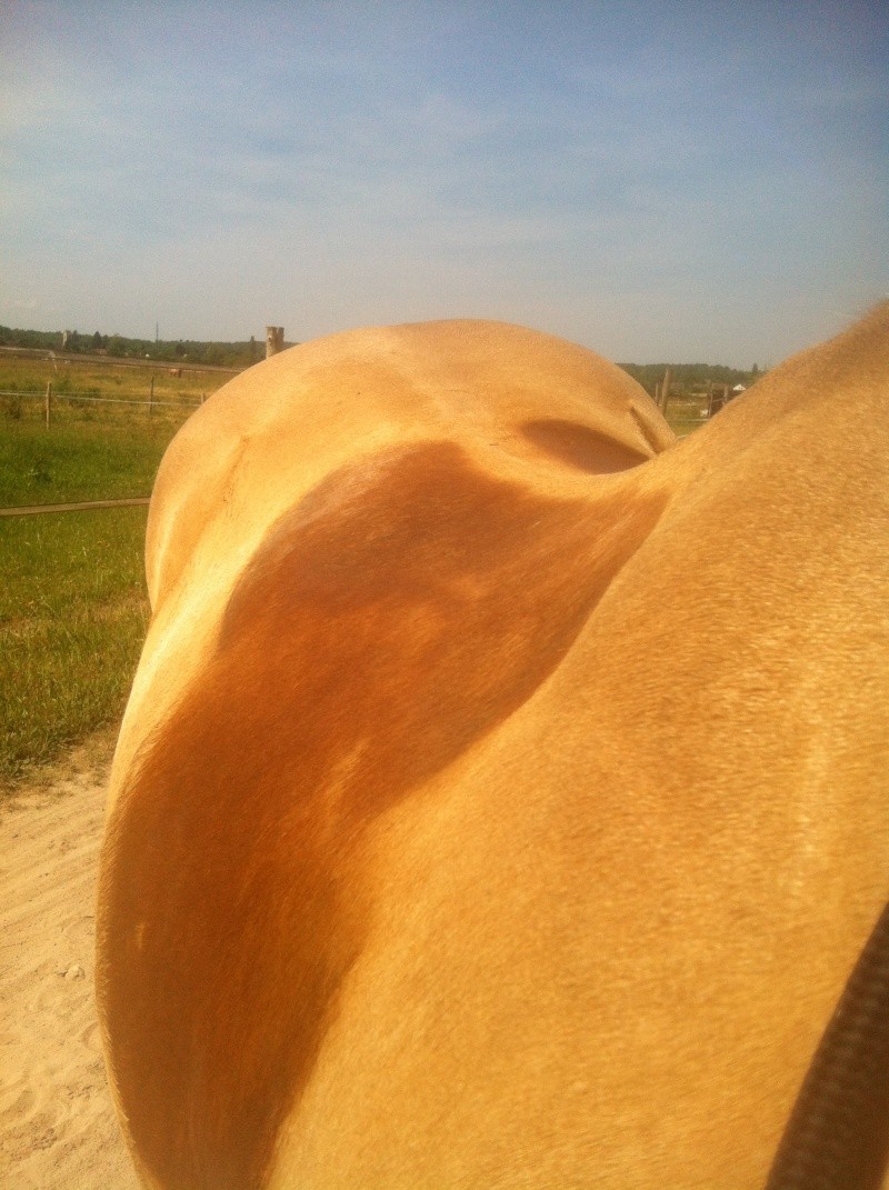 Heeeeeeelp!! Besoin de vous! :P Trekker (pro endurance / true talent) - Page 4 Photo11