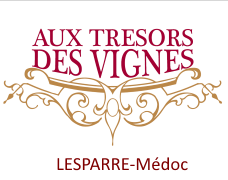 Aux Trésors des vignes à Lesparre Médoc 10626410