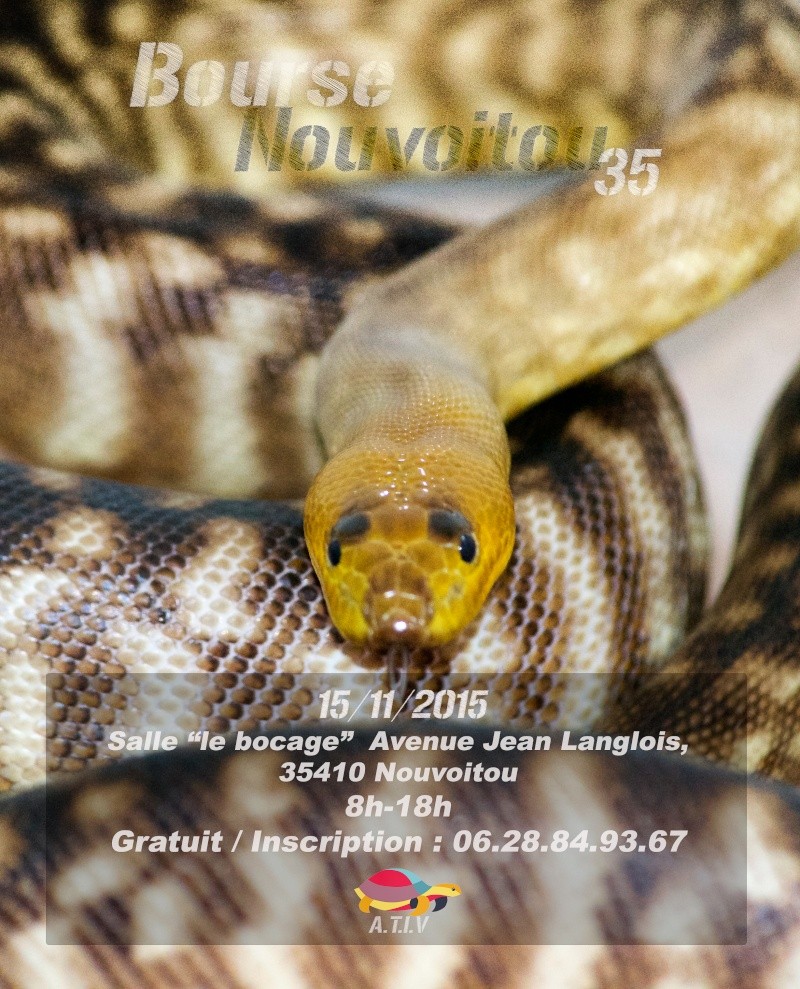 Bourse Oiseaux/Reptiles Nouvoitou (35) 12072013