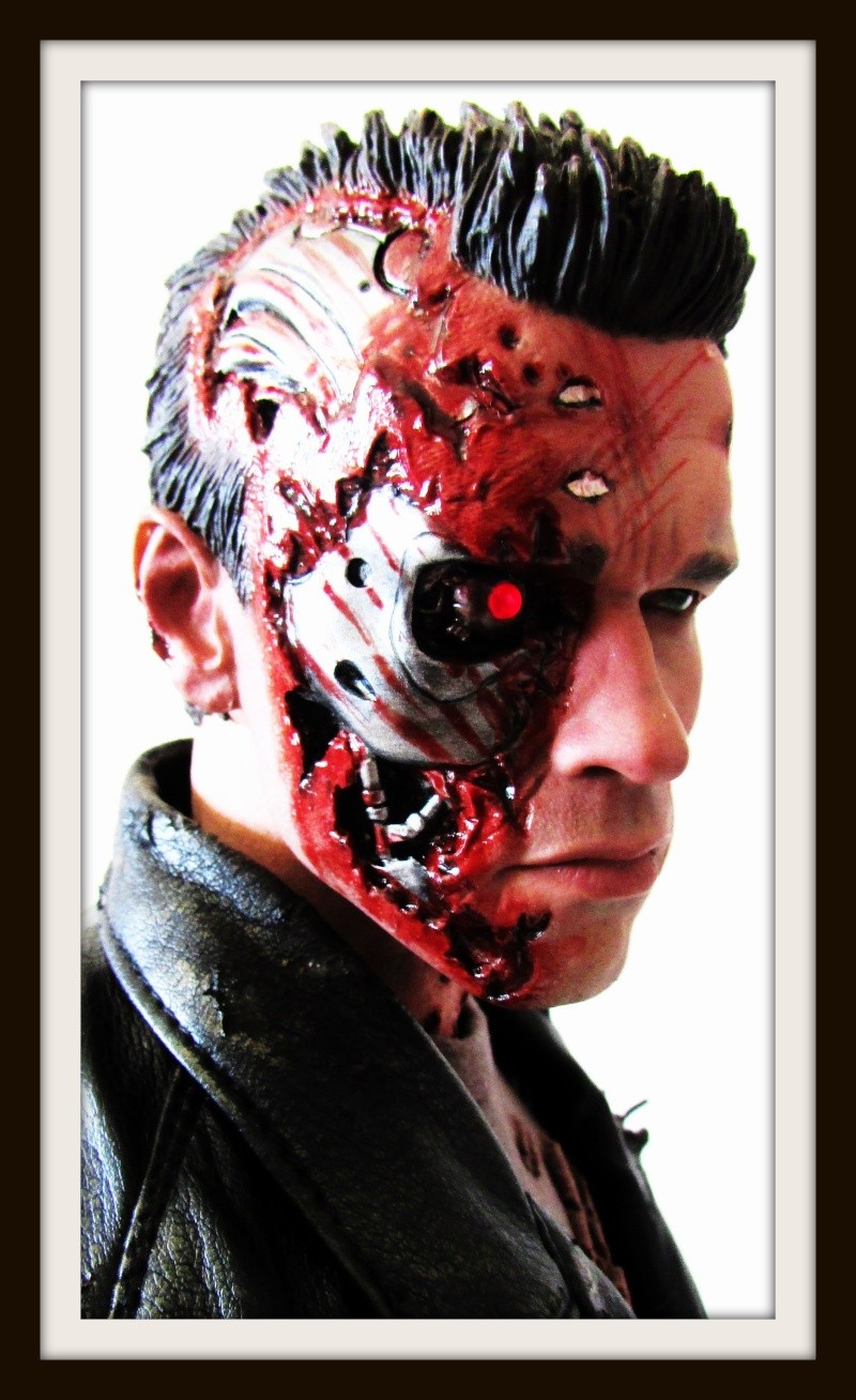 Collection n°452 : Movies maquettes : MAJ / Robocop + T-800 BD Enterbay page 29 - Page 29 Ter_311