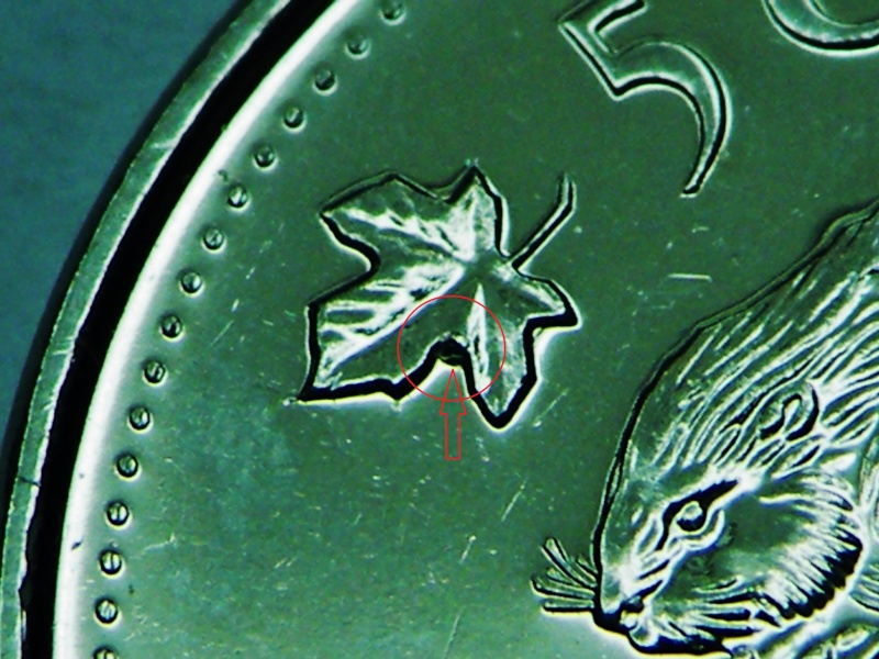 2011 - Dommage au Coin,Castor bossu, Éclat de Coin bûche & D de canaDa (Die Damage, Die Chip) Dscf2213