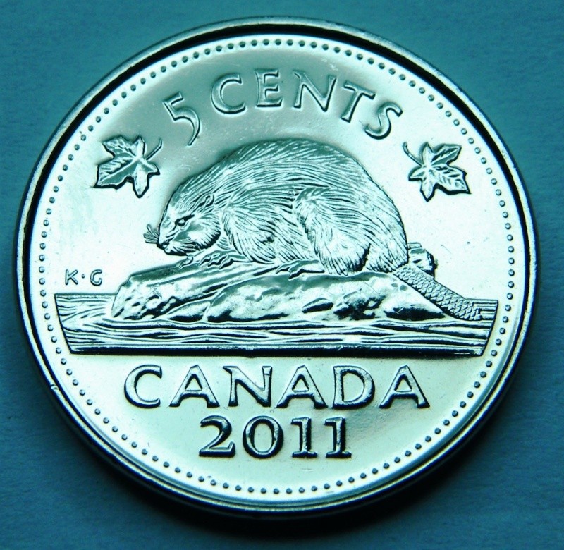2011 - Dommage au Coin,Castor bossu, Éclat de Coin bûche & D de canaDa (Die Damage, Die Chip) Dscf2215