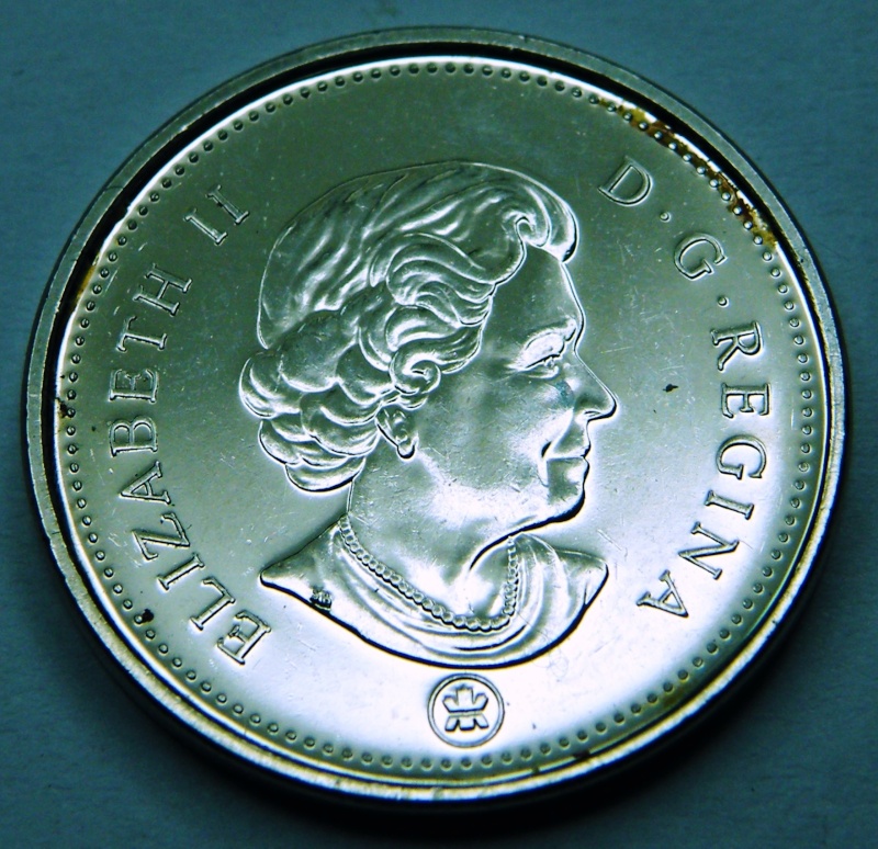 2011 - Dommage au Coin,Castor bossu, Éclat de Coin bûche & D de canaDa (Die Damage, Die Chip) Dscf2216