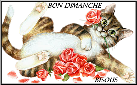 Le Thread du BONJOUR/BONSOIR les Zanimo's - Page 32 3s00rx10