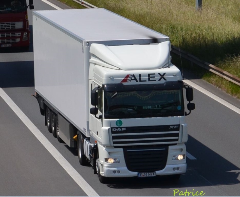 Alex Transport 48mp10
