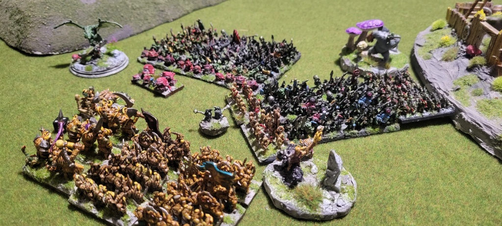 Halflings bête vs Gobelins 1500 pts 20241029