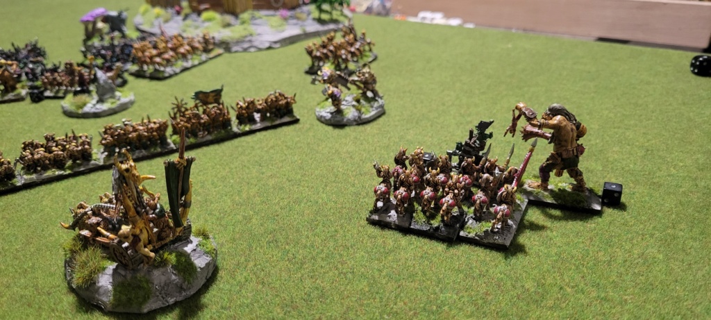 Halflings bête vs Gobelins 1500 pts 20241030