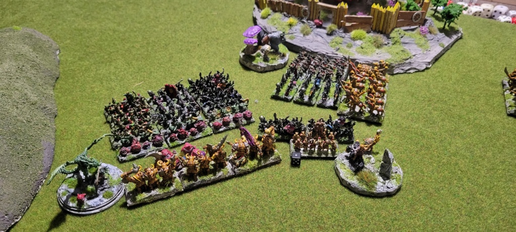 Halflings bête vs Gobelins 1500 pts 20241032