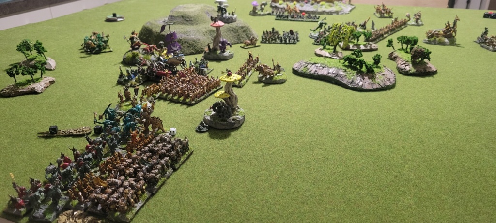 Halflings bête vs Gobelins 1500 pts 20241046