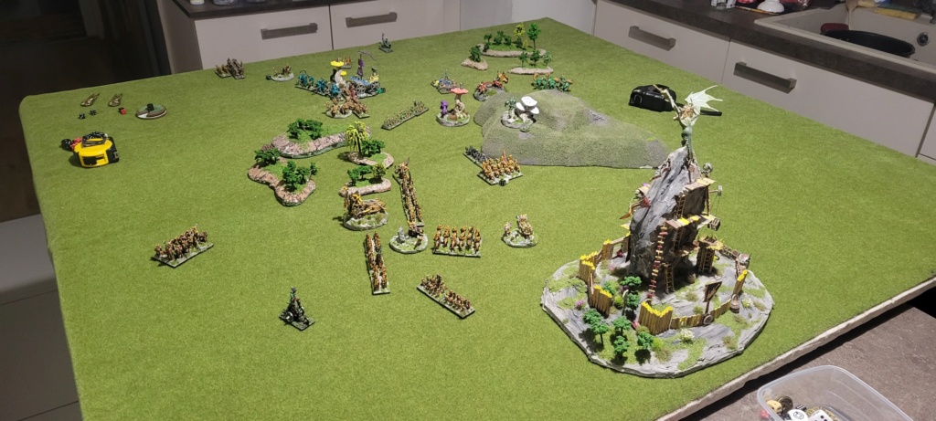 Halflings bête vs Gobelins 1500 pts 20241054