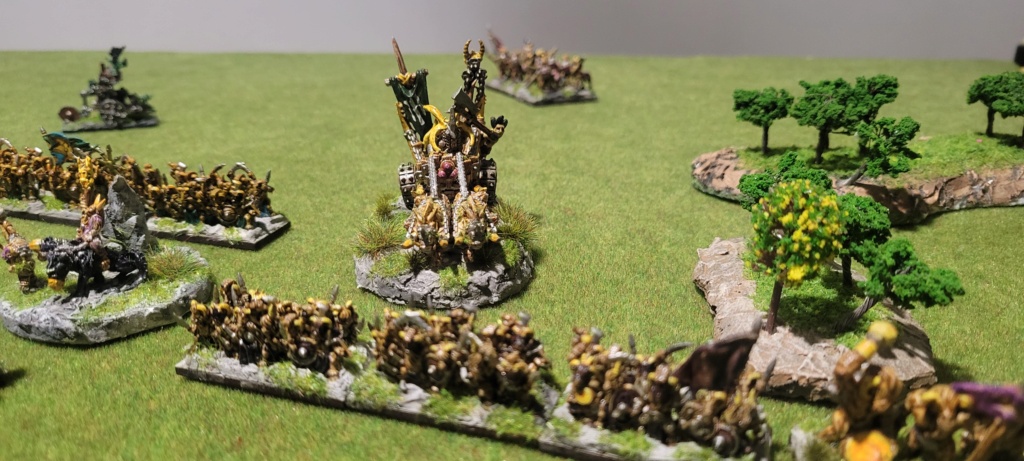 Halflings bête vs Gobelins 1500 pts 20241060