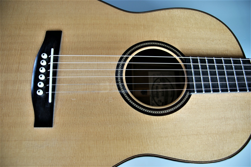 une guitare atypique Dsc00213