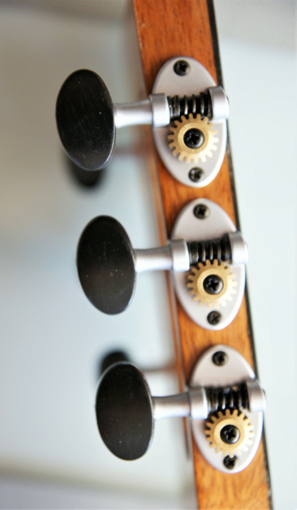La Réselle guitares : un luthier suisse prometteur ! - Page 3 Schert12