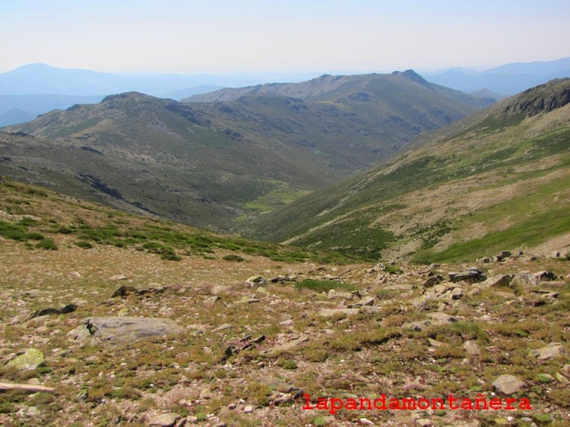 20150627 - SIERRA DE AYLLÓN - PICO DEL LOBO 02912