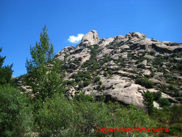 20150802 - LA PEDRIZA - ESPOLÓN DE PEÑA SIRIO 05213