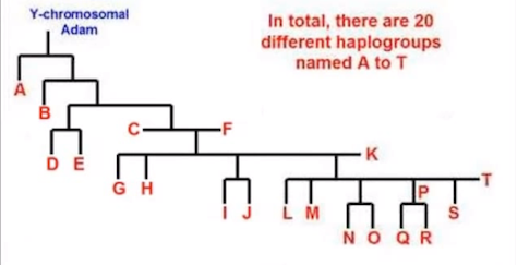 Geneticist Says Evidence Confirms Biblical Adam And Eve Ytree10