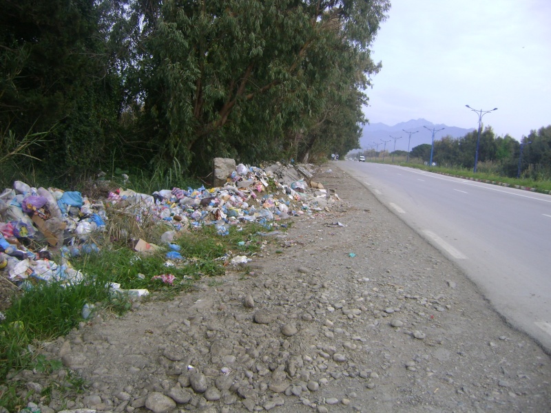 « Tala’at Rihatkum » (« vous puez », en arabe) La "crise des poubelles" dégénére au Liban!   562