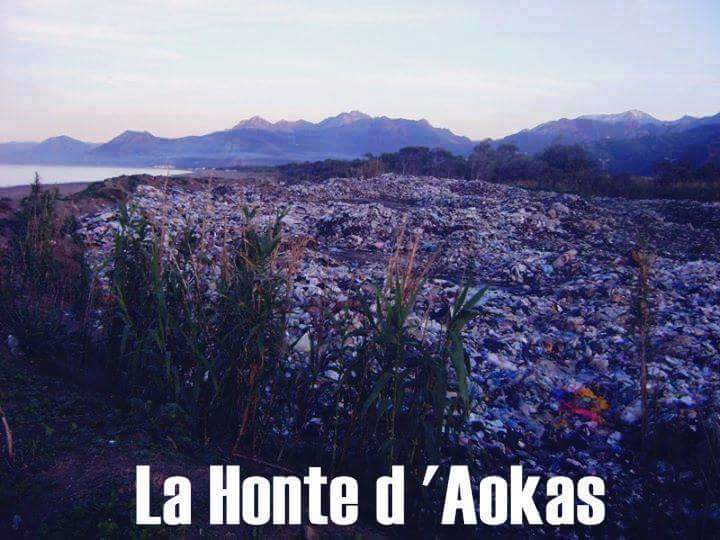 « Tala’at Rihatkum » (« vous puez », en arabe) La "crise des poubelles" dégénére au Liban!   La_hon11