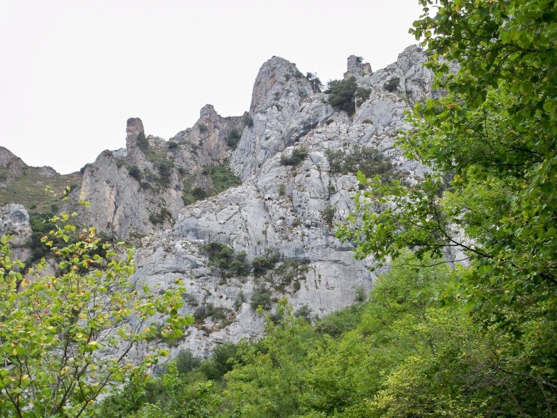 Escalada: martes 4 de agosto 2015 - Escalada en Quirós, Asturias (sectores La Selva y Escalón) 001_es10