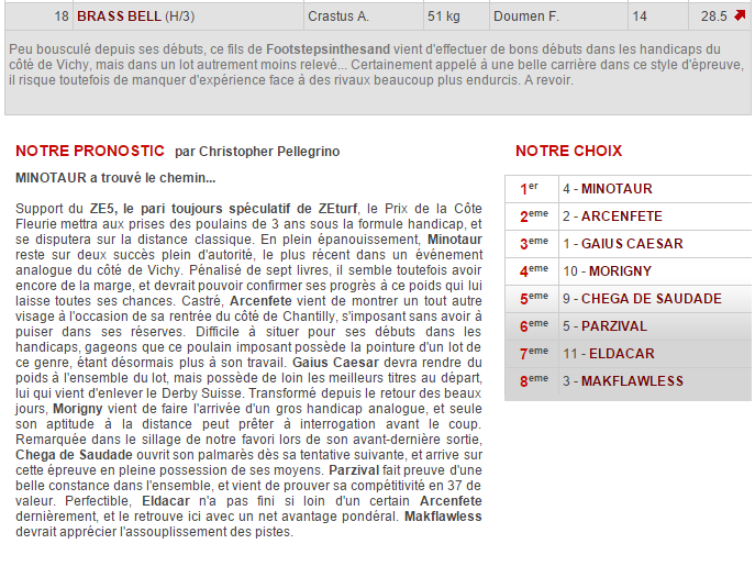 13 AOÛT 2015 • R1C3 - 13h50 • CLAIREFONTAINE - PRIX ECOLE BLONDEAU (PRIX DE LA COTE FLEURIE) 2015-574