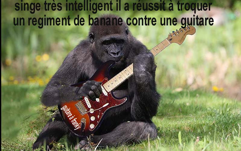 jouer de la guitare sans guitare... Singe10