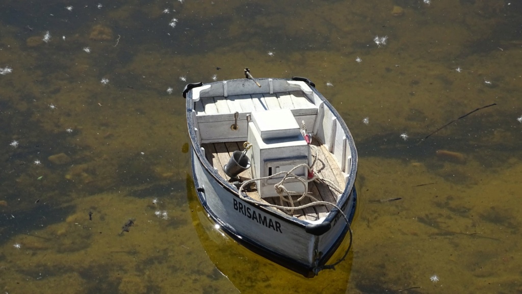 Miramar Vieux Bateau de pêche Portugais  - Page 3 17608910