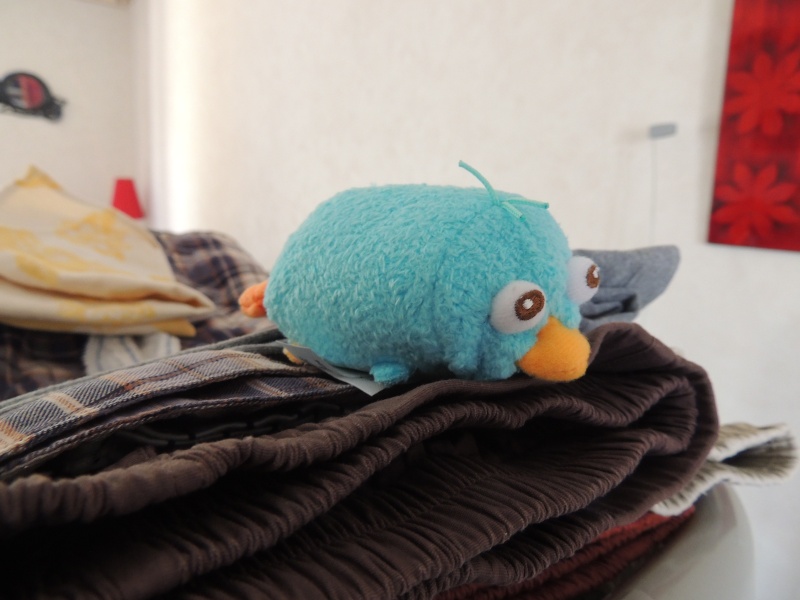 Peluches Tsum-Tsum - Page 5 Dscn9318