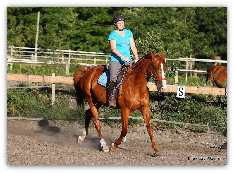 Abellina , TF 3 ans, adoptée par Helened - Page 8 2015_111