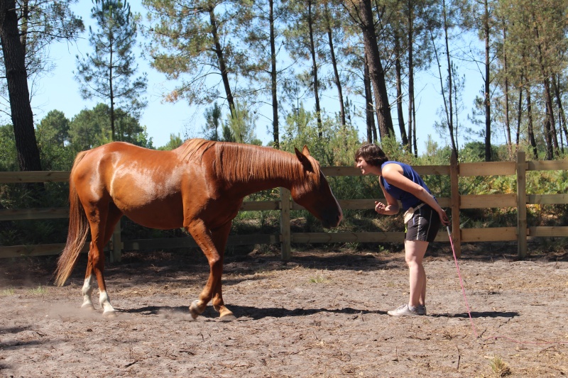 Abellina , TF 3 ans, adoptée par Helened - Page 8 2015_112