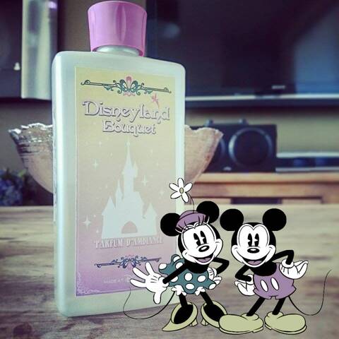 Le parfum d'ambiance du Disneyland Hotel à nouveau en vente ! (page 24) -  Page 26