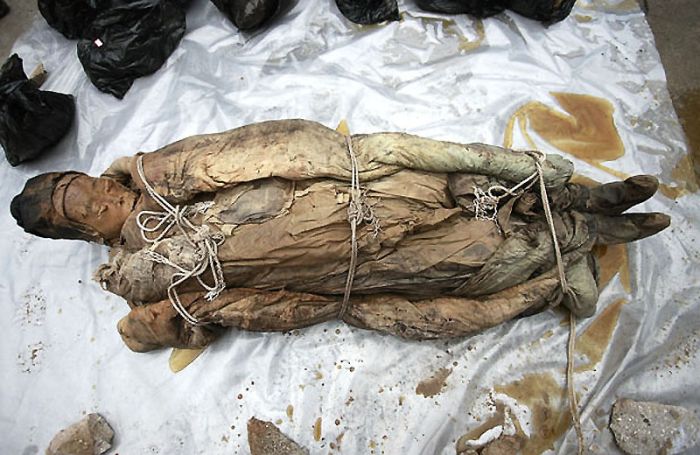Une momie de la dynastie des Ming a été découverte par hasard 13110